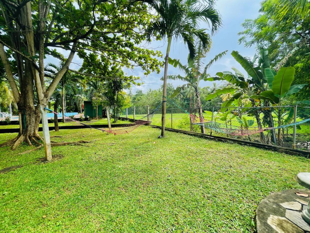 Tishan Holiday Resort 폴로나루와 외부 사진